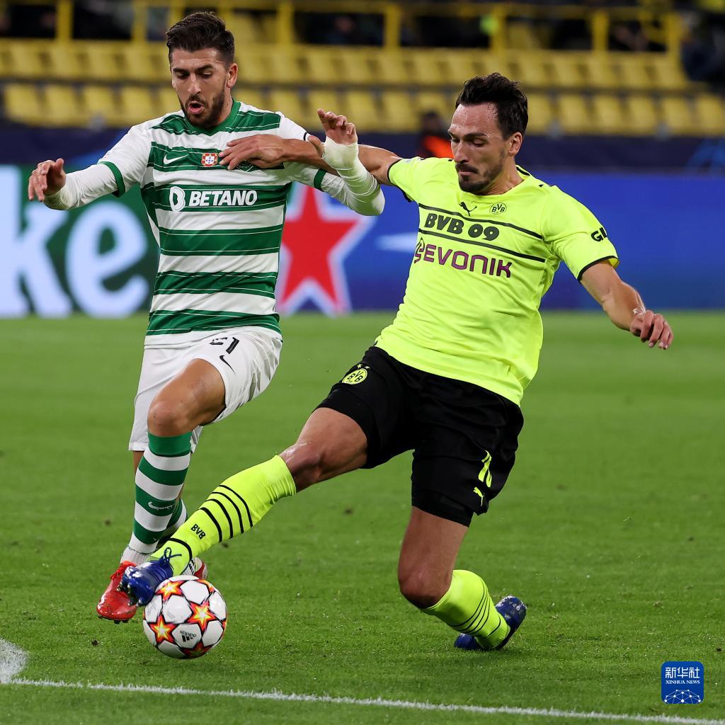 kaiyun体育官网-葡萄牙体育迎NBA常规赛关键赛,今晨调整名单,管理层满意,球探报告显示潜力的简单介绍